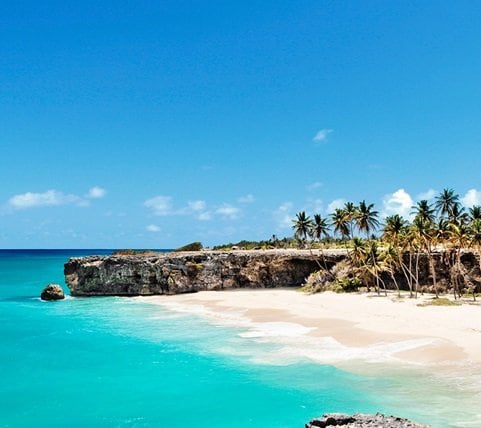 fyc_car_01_mobile Mobile Image