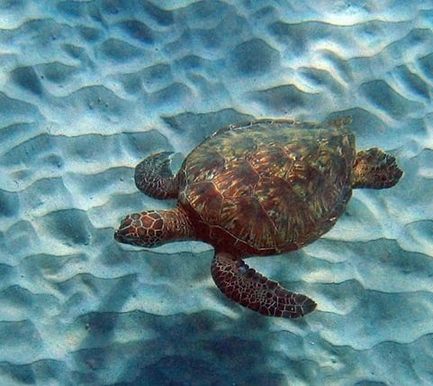 fyc_car_09_mobile Mobile Image