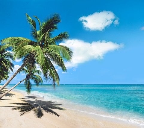 fyc_gv_07_mobile Mobile Image