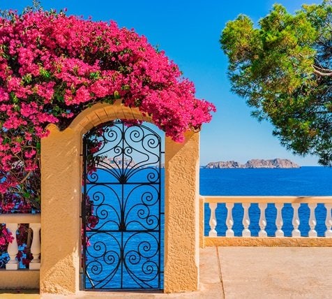 fyc_med_12_mobile Mobile Image