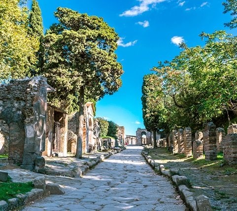 med_5_mobile Mobile Image