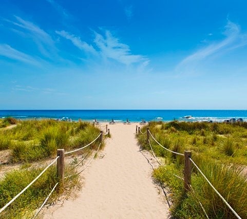 48075_02_msc14002341_900x800 Mobile Image