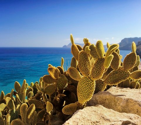 48075_02_msc22013719_900x800 Mobile Image