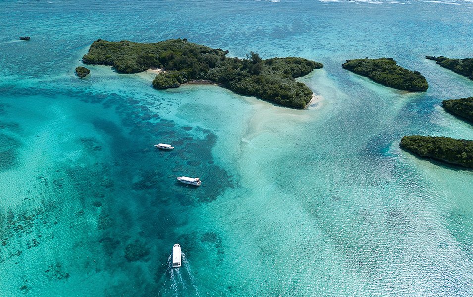 Japan Cruises | MSC Cruises Japan Cruises | MSC Cruises