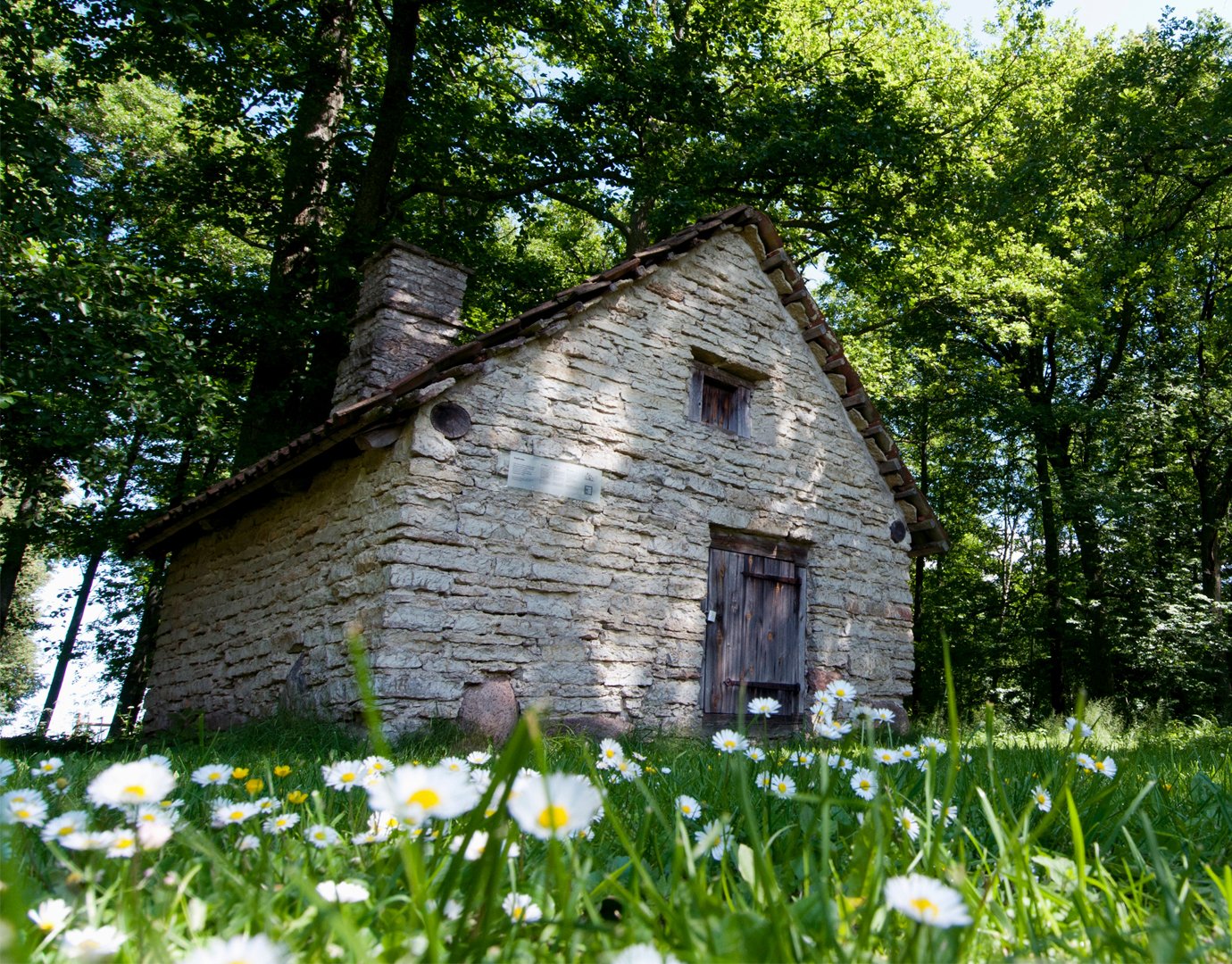 A rustic stone cottage surrounded by a forest and daisies in bloom | MSC Cruises