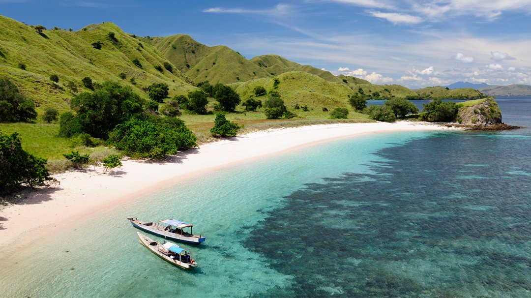 MSC World Cruise, Komodo | MSC Cruises