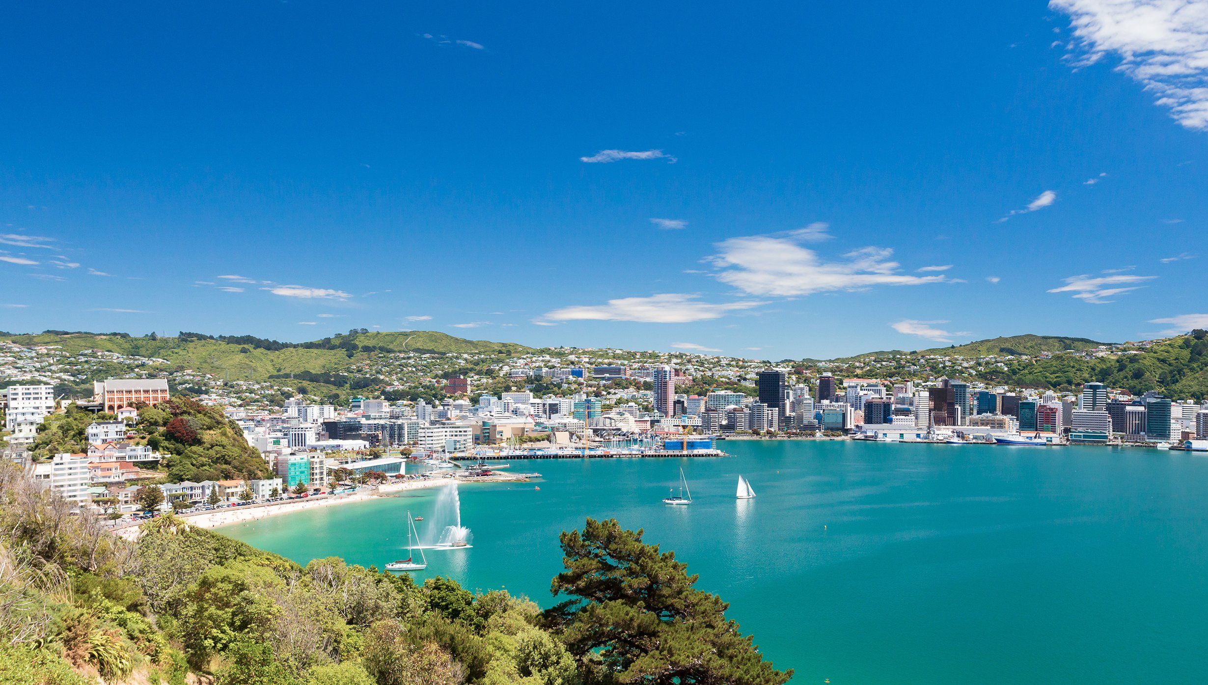 MSC World Cruise, Wellington | MSC Cruises