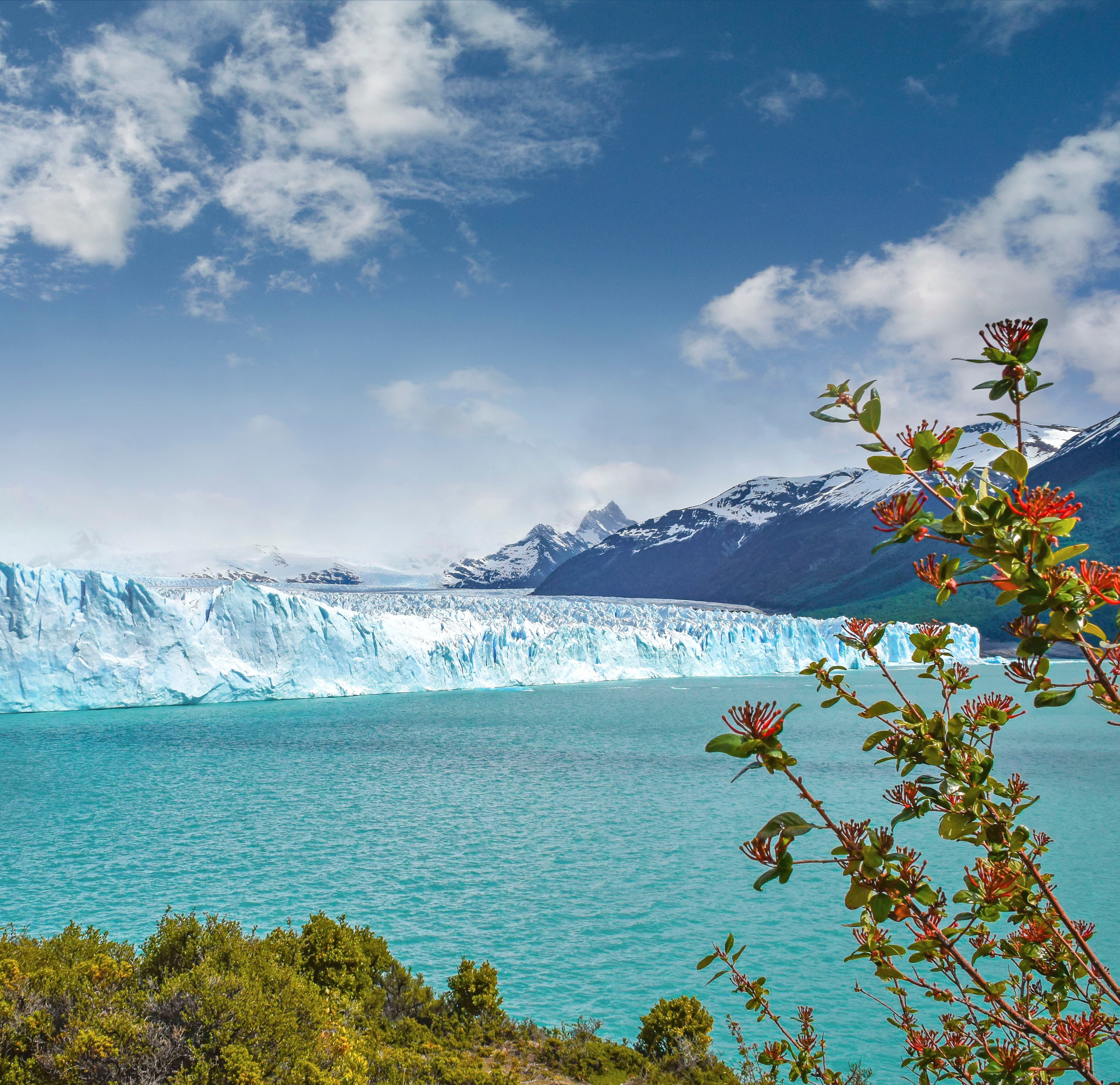 MSC World Cruise 2027| MSC Cruises MSC World Cruise 2027| MSC Cruises