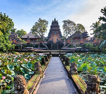 A beautiful view of a temple surrounded by blooming lotus flowers | MSC Cruises