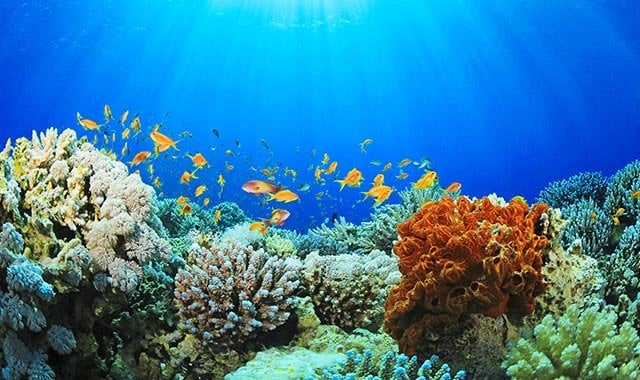 msc15003587_sustainability_640x380