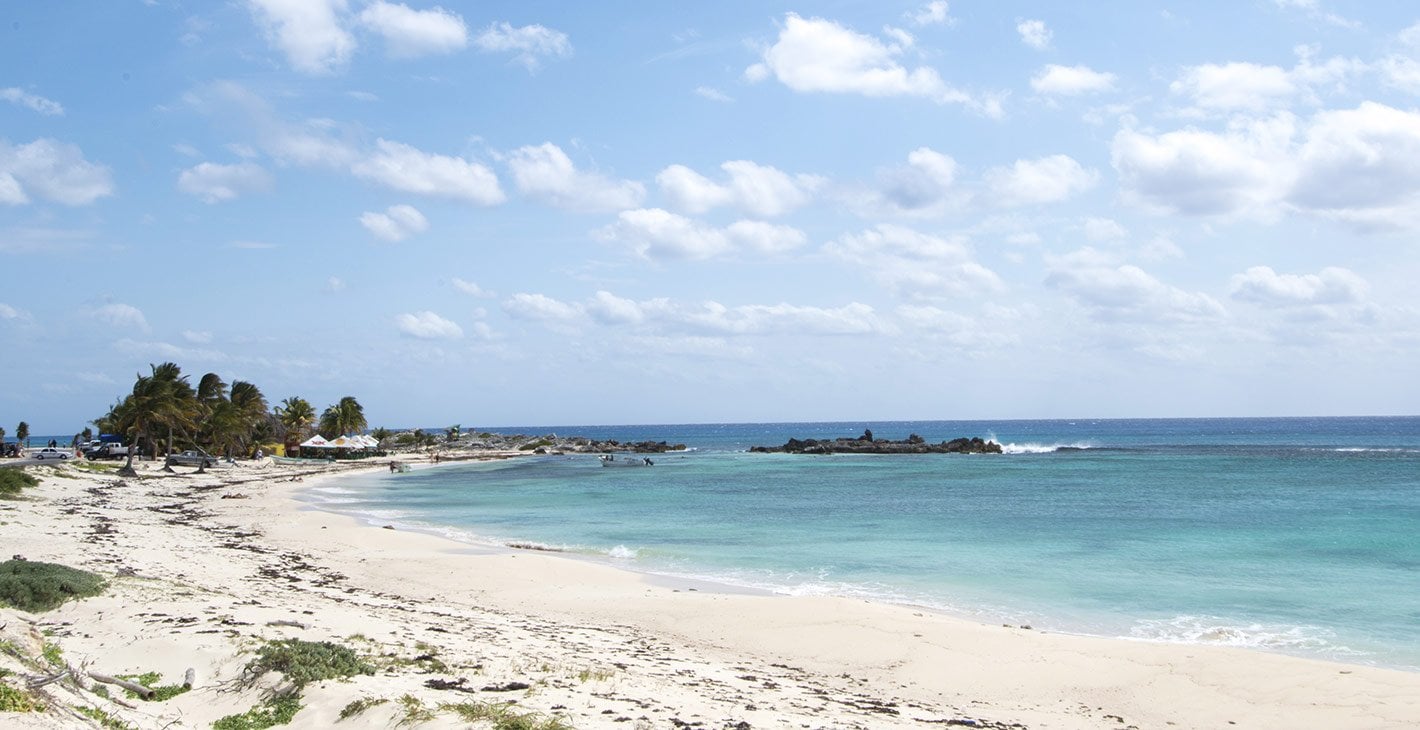 Protectours | MSC Cruises