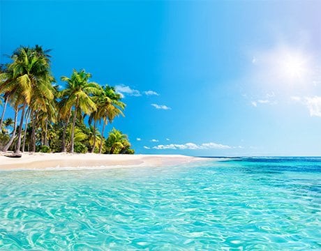 Cruises in the Caribbean and Antilles, Guadeloupe | MSC Cruises Cruises in the Caribbean and Antilles, Guadeloupe | MSC Cruises