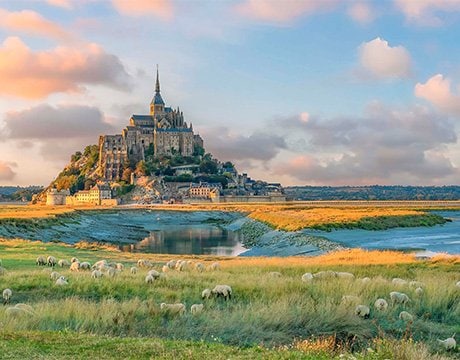 Cruises in Northern Europe, Cherbourg, France | MSC Cruises Cruises in Northern Europe, Cherbourg, France | MSC Cruises