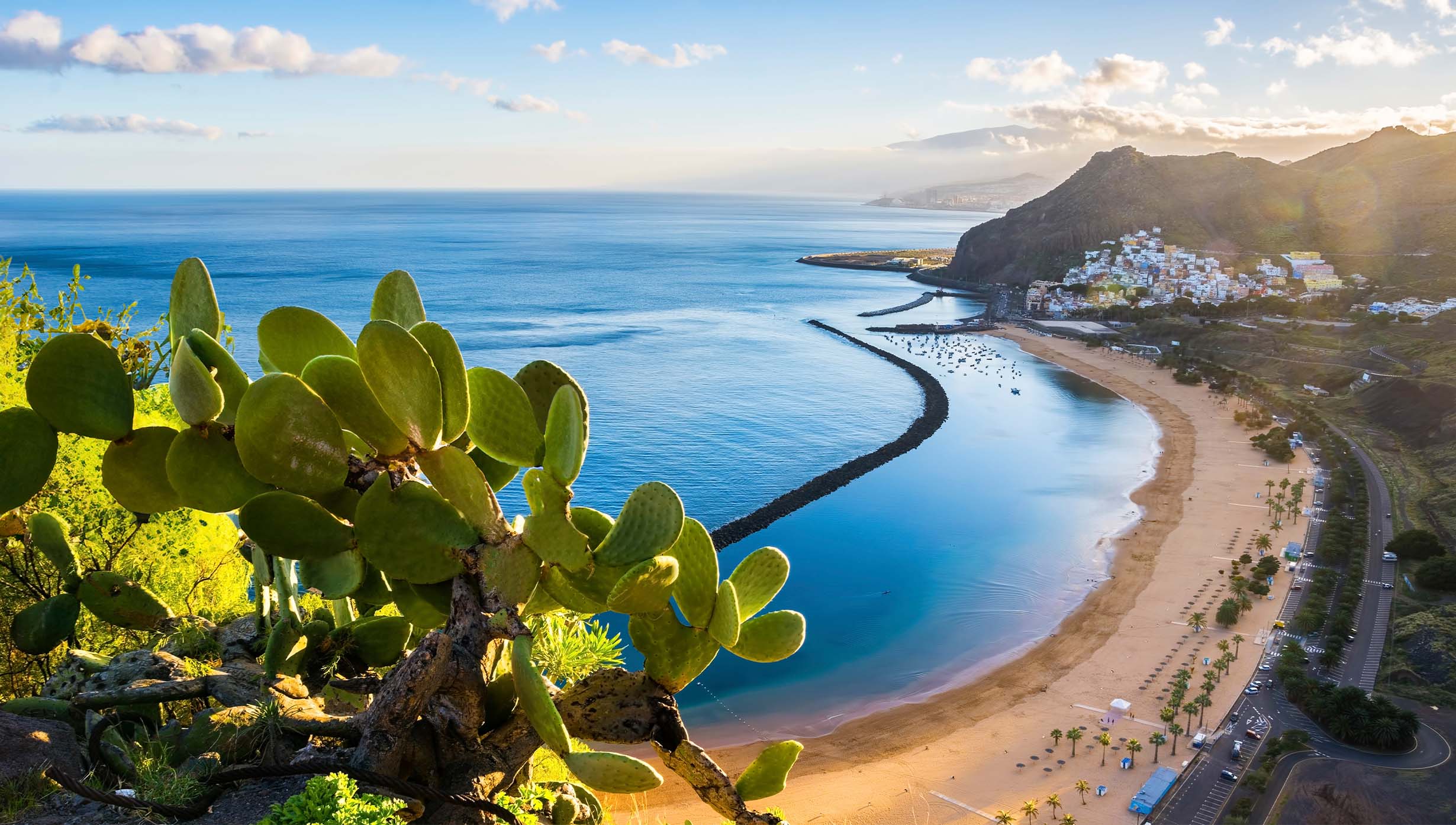 Canary Islands and Madeira | MSC Cruises Canary Islands and Madeira | MSC Cruises